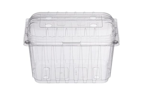 PET Oval Fruit Containers 1000 ml with Hinged Lid | Intertan S.A.