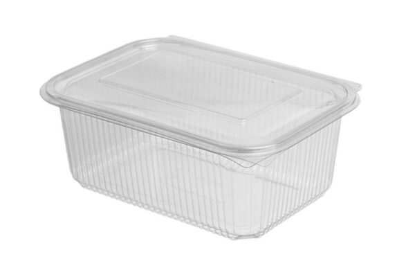 Premium PET Food Containers with Hinged Lid 2000 ml | Intertan S.A.