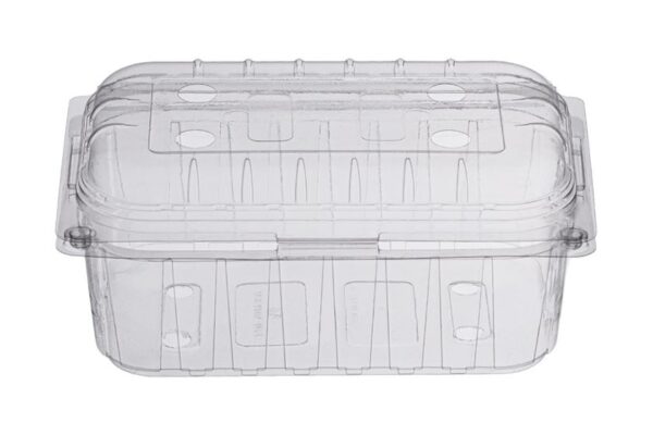 PET Oval Fruit Container 250 ml with Hinged Lid | Intertan S.A.