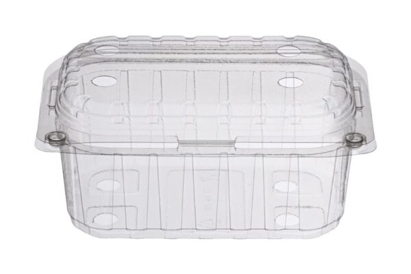 PET Oval Fruit Container 500 ml with Hinged Lid | Intertan S.A.