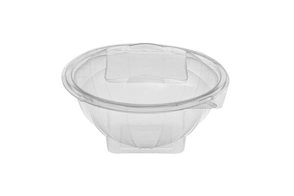 PET Food Containers with Hinged Lid 1000 ml | Intertan S.A.