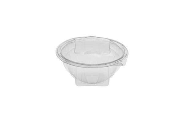 PET Food Containers with Hinged Lid 250 ml | Intertan S.A.