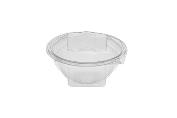 PET Food Containers with Hinged Lid 500 ml | Intertan S.A.
