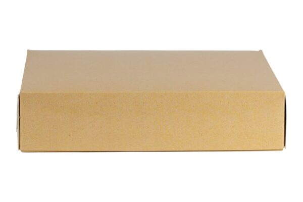 Food Boxes KRAFT with Metalised PET Coating (T52) 30x23.5x7cm | Intertan S.A.